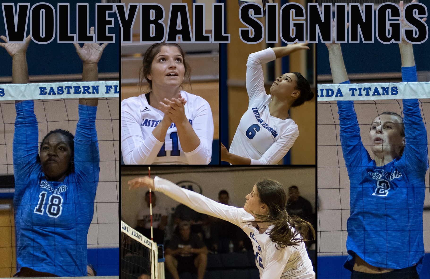 Five volleyball players moving on to four-year programs