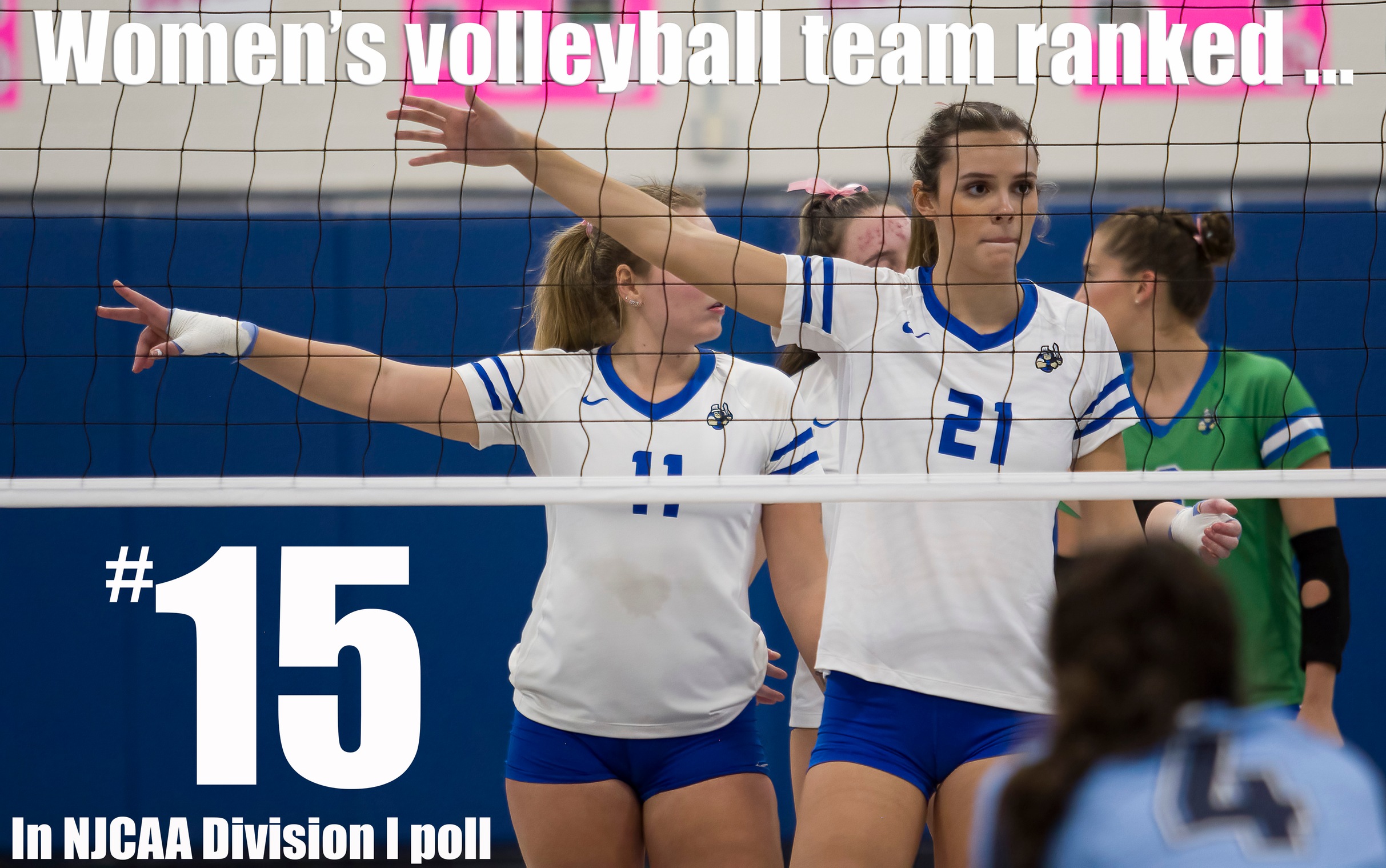 Women's volleyball team remains No. 15 in national poll